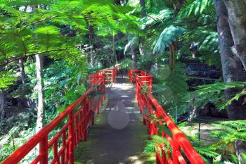 Picturesque alley in the southern park. Path and bridge with red fence in the Chinese style