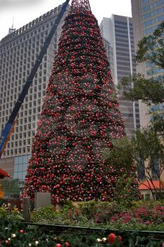 
Huge fir-tree on Hong Kong square decorated for the new-year 
