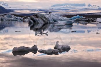 Translucent icebergs in the Ice lagoon Jokulsarlon. South-East Iceland. Pink sunset in July