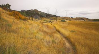 Traveller goes on a track on the slope of mountain covered by a yellow autumn grass
