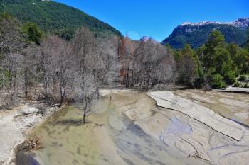 Riverbed in the mountains of the Argentine Patagonia. The river is almost completely covered with volcanic ash. Many trees withered in the eruption
