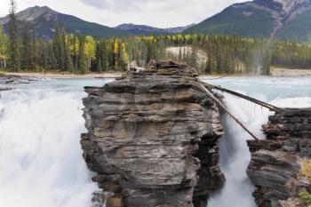 Howling Athabasca Falls in the Rocky Mountains of Canada. Between the cliffs above the water stuck logs. Cloudy day in Jasper National Park