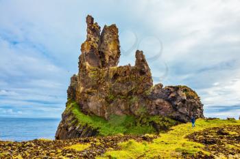 Magnificent Iceland.  The ancient rocks covered with a green and yellow moss. Northern coast of Atlantic