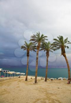 Palm trees and beach canopies on a beach of the Dead Sea in thunder-storm