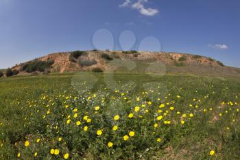 Hilly landscape. Spring at southern coast of Mediterranean sea
