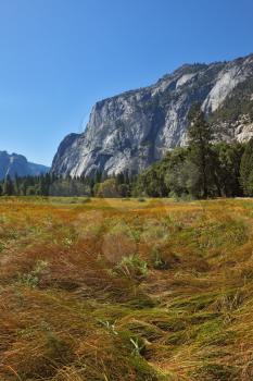 Beautiful sunny meadow, surrounded by mountains, in the famous Yosemite Park