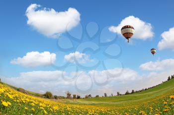 The  huge field with blooming buttercups and flying in the sky, beautiful multicolored balloon. The wonderful spring day 