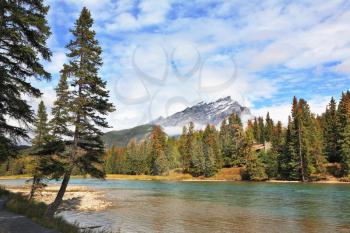 Mountains and pines at the mountain river Banff. Early autumn in the Rocky Mountains of Canada