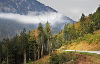 Fine autumn day in the Austrian Alps. The road in mountains among beginners to turn yellow pines and fir-trees
