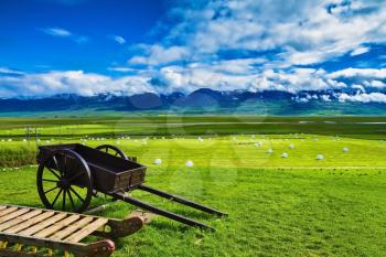 Old wooden sledge and two-wheeled cart on the lawn. The reconstituted village -  Museum Vikings in Iceland