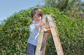 Very nice four year old boy posing in spring garden on stepladder
