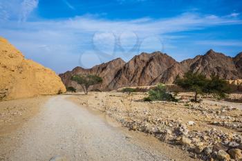 Hot winter in the desert near the Red Sea. Walking route on  picturesque Black canyon