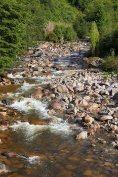 Quick creek with clean and cold water. The creek flows through a dense coniferous forest