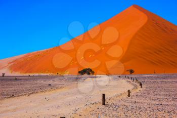 The most famous is  huge orange dune 45.  Travel to Namibia. Namib-Naukluft National Park