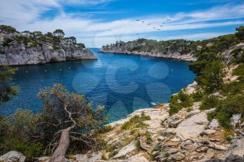 The bays - fjords with rocky steep banks. National Park Calanques on the Mediterranean coast.   Provence, spring
