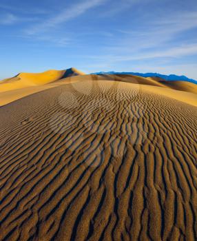  Early morning, sunrise. Magnificent sandy waves on dunes. Death Valley, California