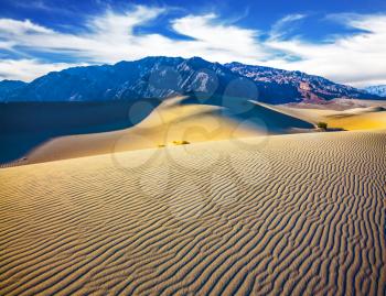 Picturesque part of Death Valley, USA. Mesquite Flat Sand Dunes. Small ripples on the sand dunes. Windy and hot morning in the desert