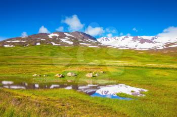 Summer Iceland. The hills are covered with snow and are reflected in small lake. Around a lot of fresh green grass