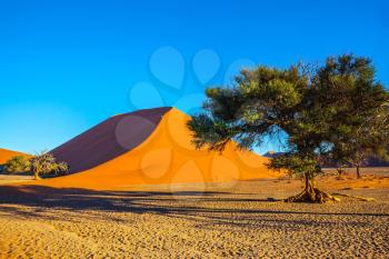 The most famous is  huge orange dune 45. Namib-Naukluft National Park.  Travel to Namibia