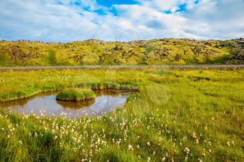 Iceland in July. Lovely pond with thermal water. On small island grows tall grass