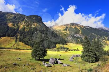  The beautiful sunny day in the national park Grossgloknershtrasse. Early autumn in the Austrian Alps