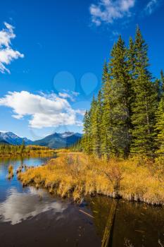 The shallow lake Vermilion among mountains and the woods. Sunny day in the Rocky Mountains of Canada