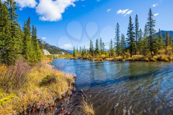  Beautiful Lake Vermilion in the mountains of Banff Park. Autumn forest, mountains and lakes. The Canadian province of Alberta. Concept of active tourism and ecotourism 