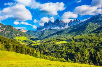 The green valley is surrounded by a dentate wall of dolomite rocks. Warm autumn in the Dolomites, the Val de Funes.  The concept of ecological tourism