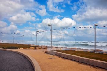 The famous promenade of Tel Aviv in stormy weather. The cat hid from the strong sea wind. The first day of January