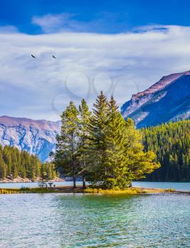 The concept of ecological and active tourist. Golden Autumn in the Rocky Mountains. The morning sun warms the picturesque lake and small island