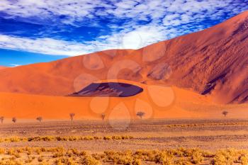 Orange, purple and yellow dunes of the Namib desert. The concept of extreme and exotic tourism. Namibia, South Africa