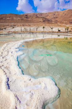 Reduced water in the salty Dead Sea, Israel.  The concept of medical and ecological tourism. The evaporated salt has developed into fantastic patterns
