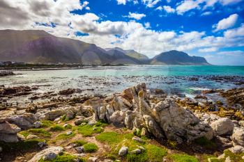  The azure water, boulders and algae of the Atlantic. Surroundings of Cape Town. Boulders Penguin Colony National Park, South Africa. The concept of  ecotourism