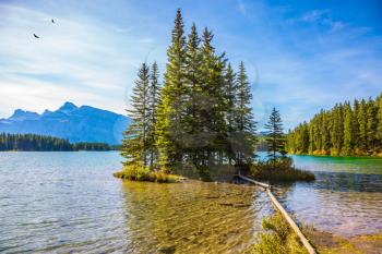 The lake with turquoise water is surrounded by coniferous forests. The concept of ecological and active tourism. Lake Two Jack in the Rocky Mountains