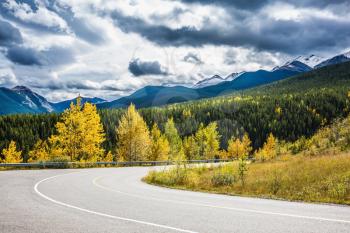  Abrupt turn of the road among the autumn wood. The magnificent Rocky Mountains in Canada. The warm Indian summer in October