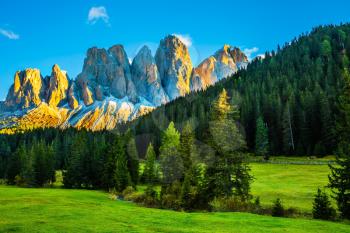 Magnificent serrated cliffs illuminate the summer sunset. The Dolomites, Tirol. The concept of eco-tourism in Alpine meadows