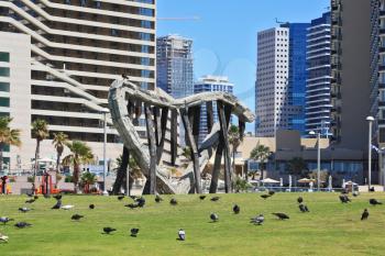 TEL AVIV, ISRAEL - MAY 2, 2014: On the green lawn in front of the hotel walks flock of pigeons.  Beautiful Tel Aviv promenade