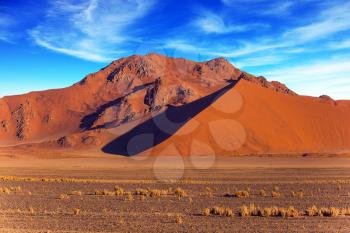 Orange, red and yellow dunes of the Namib desert. The concept of extreme and exotic tourism. Namibia, South Africa. Sunset in the desert
