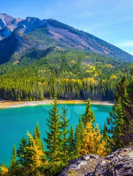 The lake with turquoise water is surrounded by coniferous forests. Lake Two Jack in the Rocky Mountains of Canada. The concept of ecological and active tourism