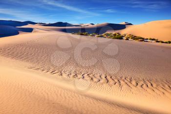Mesquite Flat Sand Dunes. Thin waves on sand. Bright solar morning in picturesque part of Death Valley