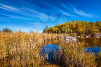 Trend Around the World. Pinawa Dam Park. Yellow autumn grass is reflected in the smooth water surface of Winnipeg River