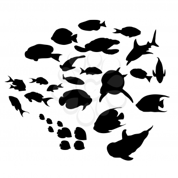 fish silhouettes collection