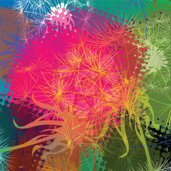 colorful splashed grunge dandelion background