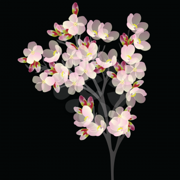 Blossoms on tree silhouette