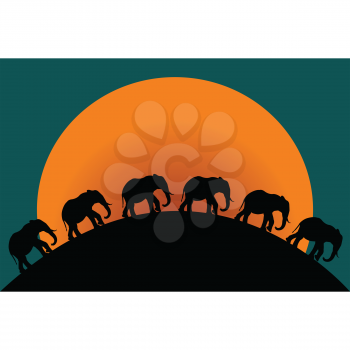 Silhouette of elephants at twillight