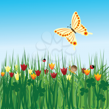 Spring background with tulips and butterfly