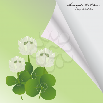 Royalty Free Clipart Image of a Card With Clover in the Corner