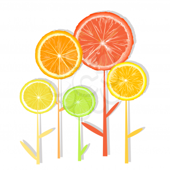 Royalty Free Clipart Image of Citrus Slice Flowers