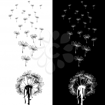 Royalty Free Clipart Image of a Dandelions on Black and White