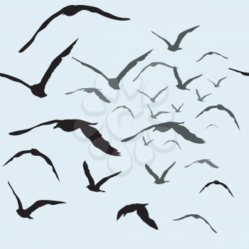 Birds flying in the sky seamless pattern